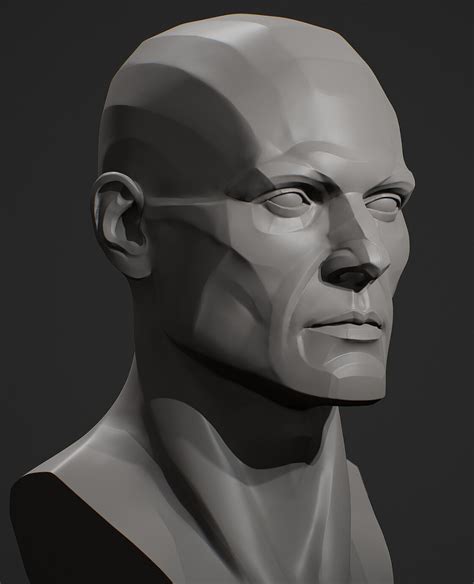 ArtStation - Head Planes Male, Viktor Germogenov | Head anatomy, Planes of the face, Anatomy ...