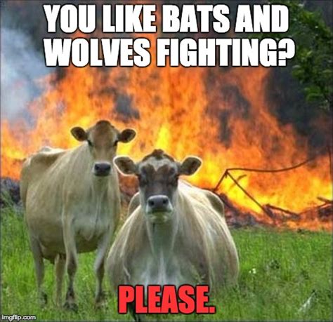 Evil Cows Meme - Imgflip