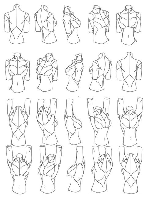 Arms raised | Art reference, Drawing reference, Figure drawing reference