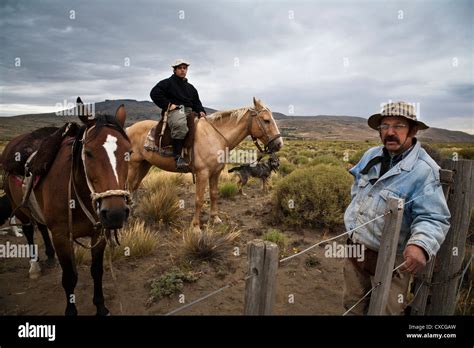 Gauchos riding horses, Patagonia, Argentina Stock Photo - Alamy