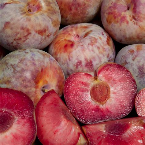 Plumcot vs. Pluot: Hybrids Explained - Butter N Thyme