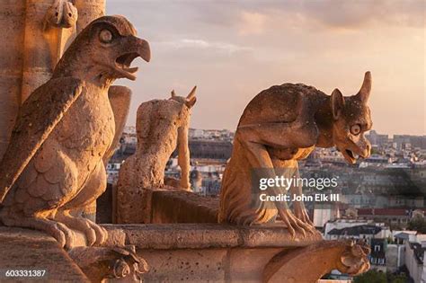 880 Notre Dame Cathedral Gargoyles Stock Photos, High-Res Pictures, and Images - Getty Images