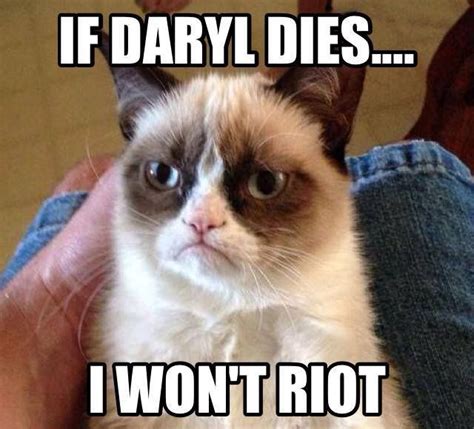 1000+ images about Daryl Dixon funny memes on Pinterest | Walking dead, Hey girl and Love him