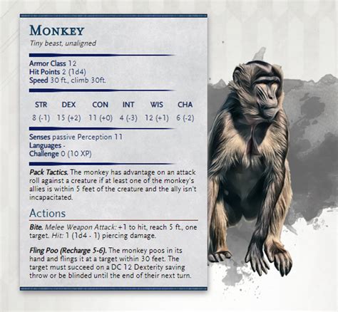 Monkey - 5e monster (Fling poo at your ToA players!) : UnearthedArcana | Dungeons and dragons ...