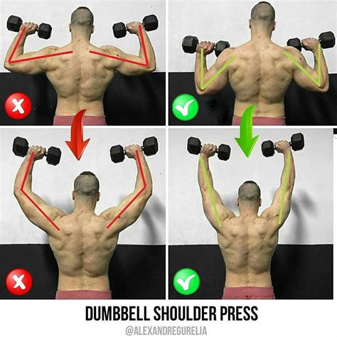 DUMBBELL SHOULDER PRESS Gym Tips, Gym Workout Tips, Cardio Workout, Fun ...