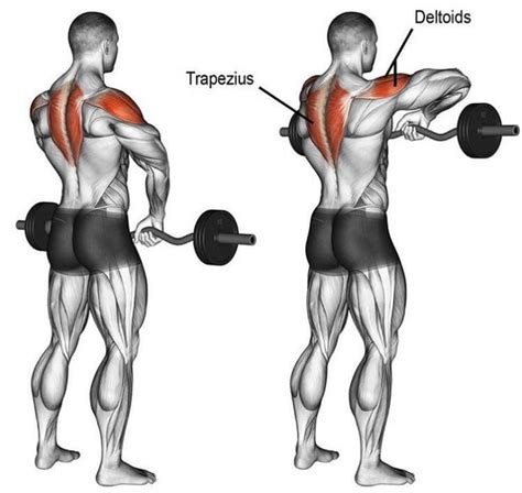 The Best Upright Row Alternative for Huge Shoulders and Massive Traps – Fitness Volt