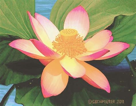 Image result for lotus blossom painting | Lotus flower painting, Nature ...