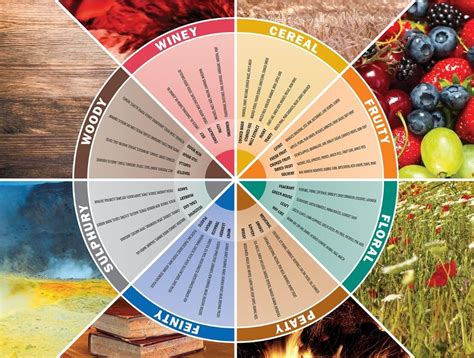 Tasting Wheel - Whisky Magazine in 2020 (With images) | Whiskey tasting, Legal drinking age ...