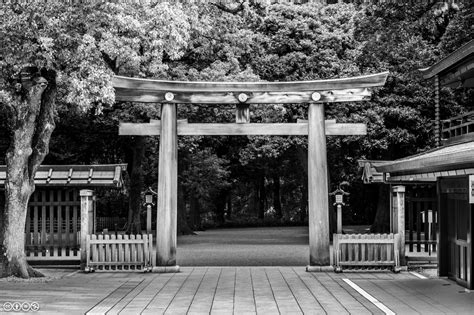 I Am Ubik... — Torii gate, Meiji Shrine.