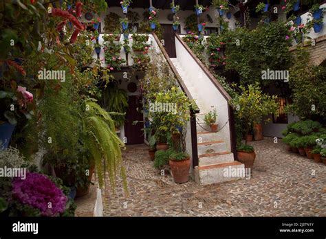 Traditional courtyard in the San Basilio neighborhood of Córdoba Stock ...