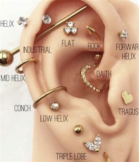 Pin by Nitzel Alvarez on Piercing ideas‍♀️ | Pretty ear piercings ...