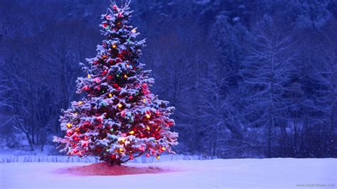 Christmas Tree Scene Wallpapers - Wallpaper Cave