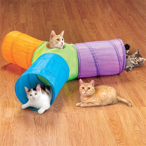 Cat tunnel - tewsluv