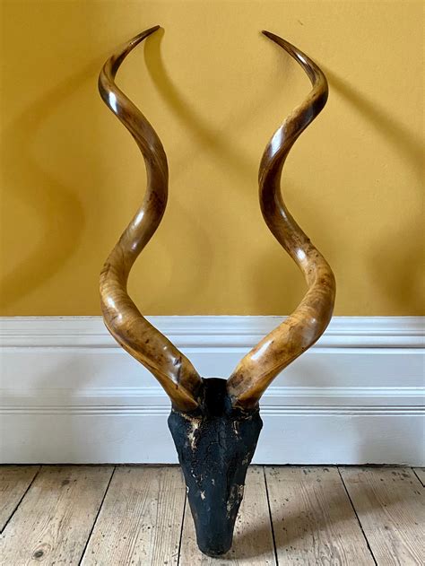 Antique African Kudu horns with carved wood skull in patinated finish