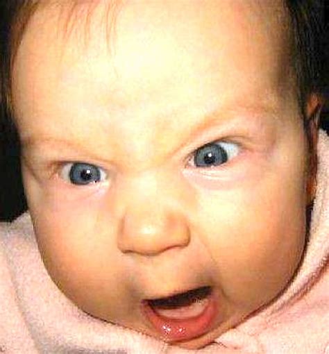 Angry Baby Faces 17839 In Baby HD phone wallpaper | Pxfuel