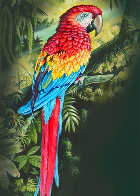 colourful | Parrots art, Bird painting acrylic, Parrot painting