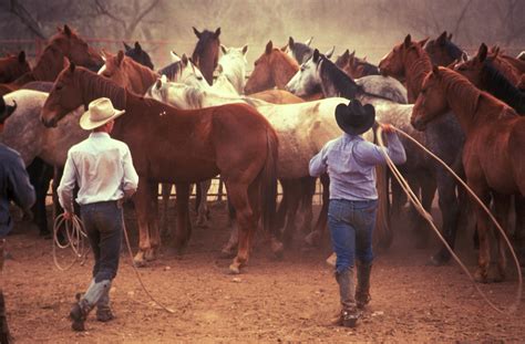 Great Cattle Ranches of Texas