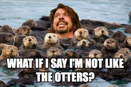 not-like-the-otters Funny Captions, Funny Memes, Memes Humor, 9gag ...