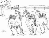 Horse Herd Coloring Pages At GetColoringscom  Free Printable sketch template
