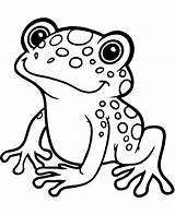 Tropical frog coloring page Sheet sketch template