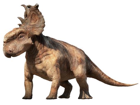 Walking With Dinosaurs Pachyrhinosaurus