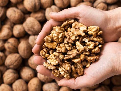 Walnuts 101: Nutrition Facts and Health Benefits