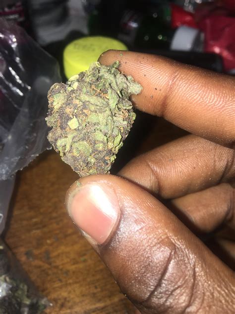 Moldy weed??????? It’s “purp” 🤦🏿‍♂️ any telltale signs? I’m hoping not got an oz of it : weed