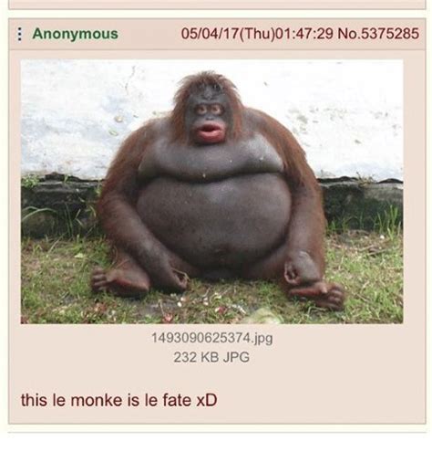 Le Monke | Wiki | Dank Memes Amino