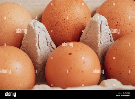 Organic Brown Eggs in Carton Stock Photo - Alamy