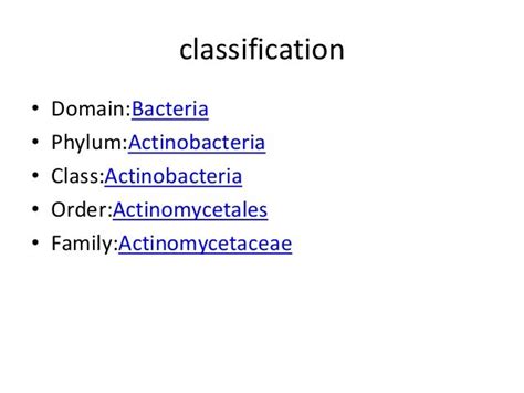 Actinomycetes