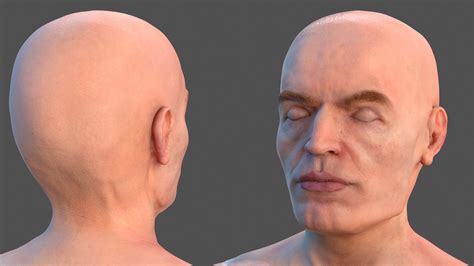 Male Skeleton Nervous System And Skin 3D Model $169 - .3ds .blend .c4d ...