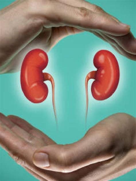 Superfoods to detox kidney naturally – News9Live