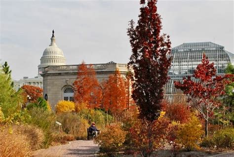 White House Garden Tour Washington DC – Garden Travel Guide