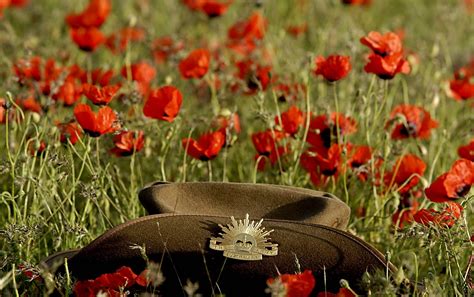 Download Army Flower Poppy Hat Holiday Anzac Day Wallpaper