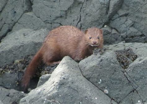 Animals found here are incredibly diverse Gohiking