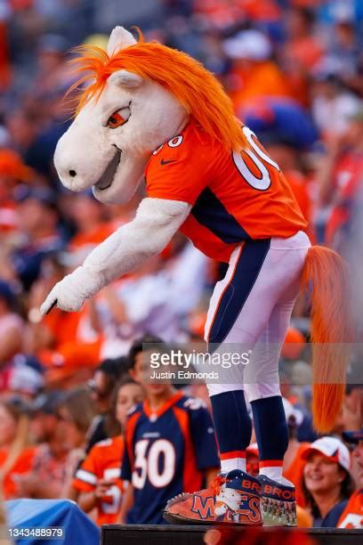 Denver Broncos Mascot Photos and Premium High Res Pictures - Getty Images