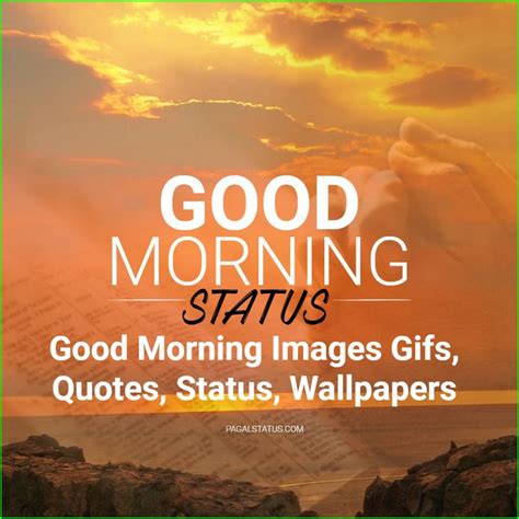565+ Good Morning Images Gifs, Quotes, Status, Wallpapers Download