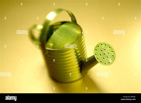 Small metal watering can Stock Photo - Alamy