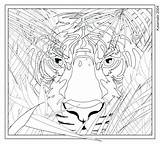 Complex Animal Coloring Pages At GetColoringscom  Free Printable sketch template