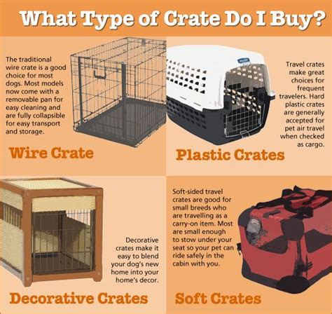 Crate Training 101 | thatpetplace.com Puppies Tips, Lab Puppies, Crate ...