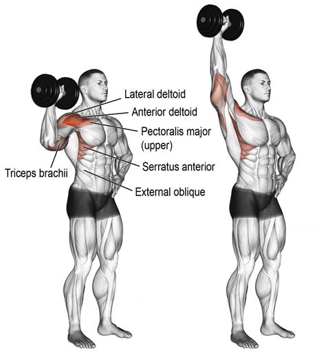 Dumbbell one-arm overhead press - New Life Health Center