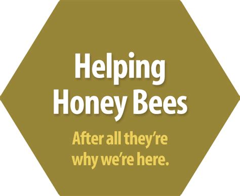 honey-bees – Honees