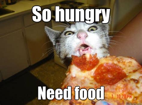 So hungry Need food - Pizza Cat - quickmeme