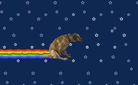 Nyan Dog Weird GIF - NyanDog Weird DogAss - Discover & Share GIFs