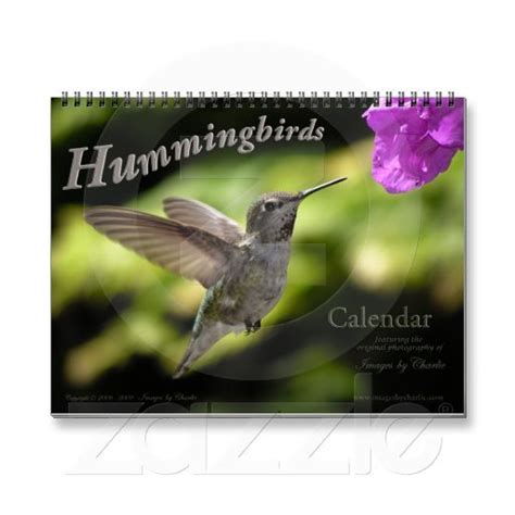 Hummingbird Calendar | Zazzle.com | Wall calendar, Nature calendar ...