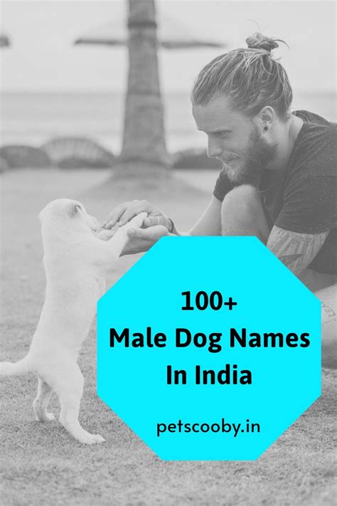 Indian Names For Shih Tzu Male - Shih Tzu Dog