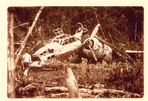 Yamamoto's plane wreck, Bougainville Island [972x665] : r/AbandonedPorn