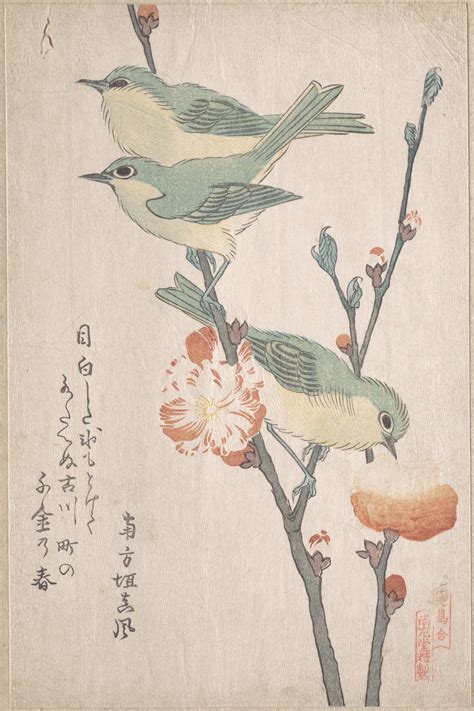 Kubo Shunman | Japanese White-eyes on a Branch of Peach Tree,” from the Series An Array of Birds ...