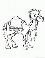 Camel Coloring Pages  Part 2 sketch template