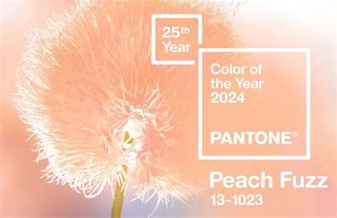 What Is the Pantone Color 2024? The Big "Oops", the Meaning of the ...